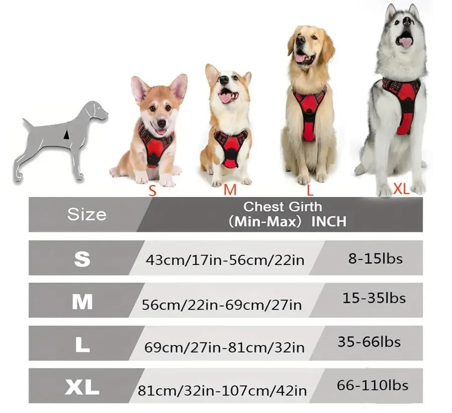 Hochwertiges Hundehalsband mit Geschirr