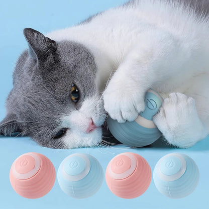 Interaktiver Spielball für Katzen