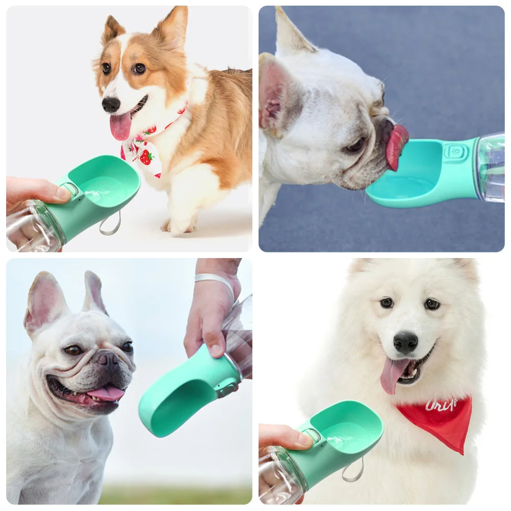 Tragbare Hundewasserflasche